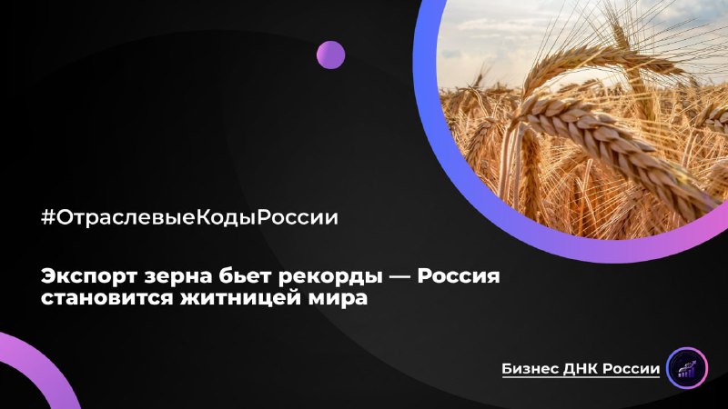 Россия стала крупнейшим экспортером пшеницы в мире