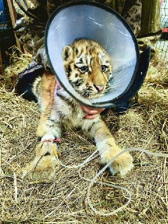 Иллюстрация 2