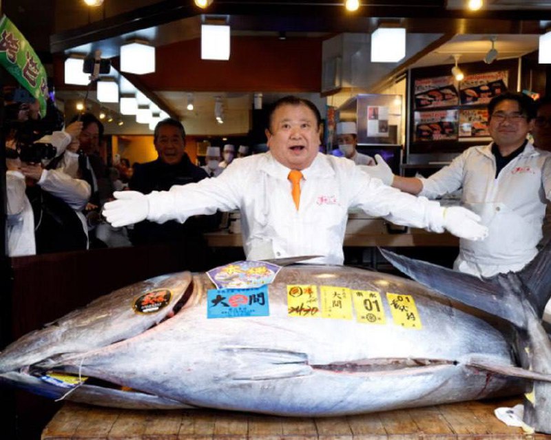 Рекордная цена за голубого тунца на аукционе в Японии