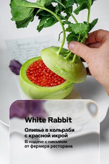 Иллюстрация 8