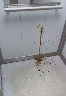 Иллюстрация 2