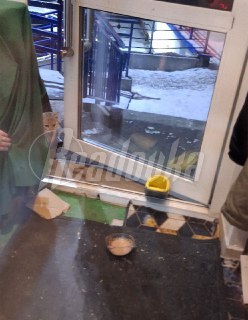 Иллюстрация 2