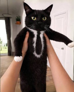 Иллюстрация 2