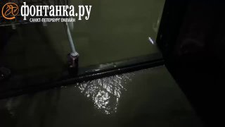 В Санкт-Петербурге произошел массовый перебой водоснабжения из-за засора канализации