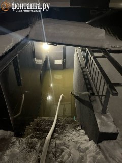 Иллюстрация 3