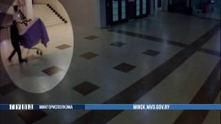 В Беларуси украли рождественские елки из торгового центра