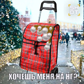 Бабушкины сумки на колёсиках стали трендом среди зумеров