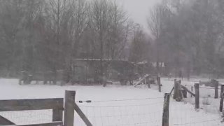 Иллюстрация 3