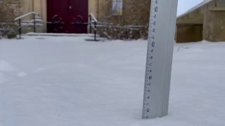 Иллюстрация 5