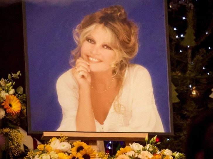 Иллюстрация 1