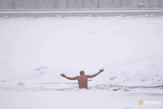 Иллюстрация 1