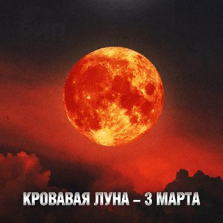 Шпаргалка по лунным датам 2026: когда смотреть и как сфотографировать