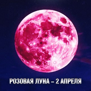 Иллюстрация 3