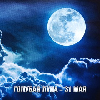 Иллюстрация 5