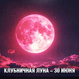 Иллюстрация 6