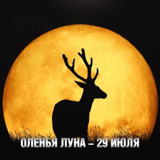 Иллюстрация 7