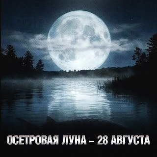 Иллюстрация 8