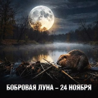 Иллюстрация 9