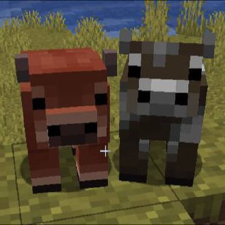 Иллюстрация 1