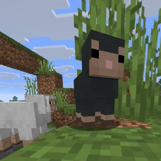 Иллюстрация 3