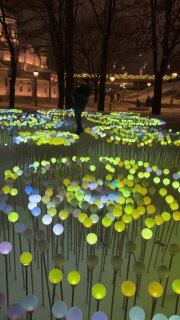 В Москве в парке Зарядье зажгли тысячи огней