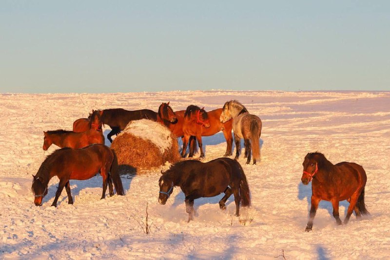 Иллюстрация 2