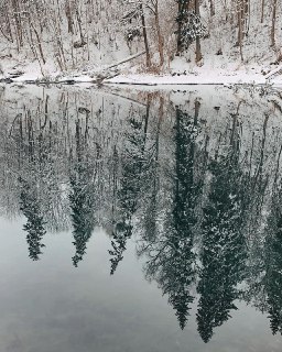 В Ленобласти нашли "швейцарские" озёра