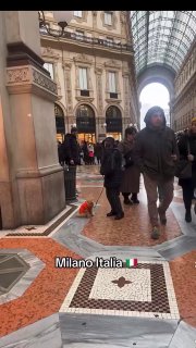 Итальянская бабушка проявила необычную заботу о коте