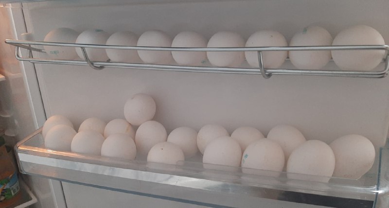 Роспотребнадзор: Яйца и молоко храните правильно