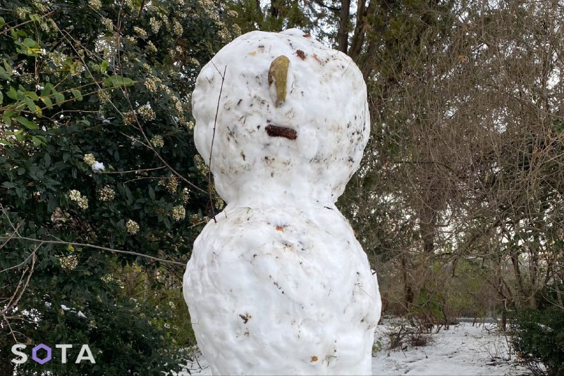 Иллюстрация 1