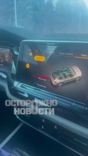 Жители Рыбинска жалуются на сжигание тушек куриц на фоне птичьего гриппа