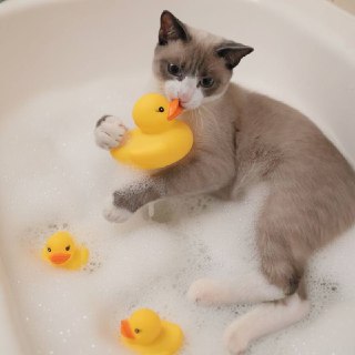 Иллюстрация 2