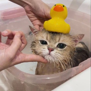 Иллюстрация 4