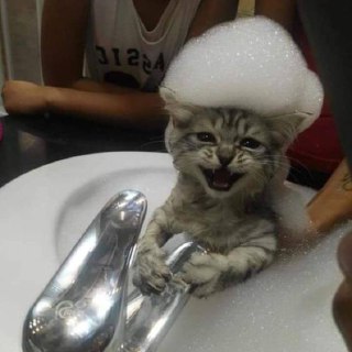 Иллюстрация 3