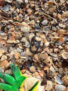 Иллюстрация 3