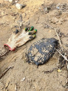 Иллюстрация 4