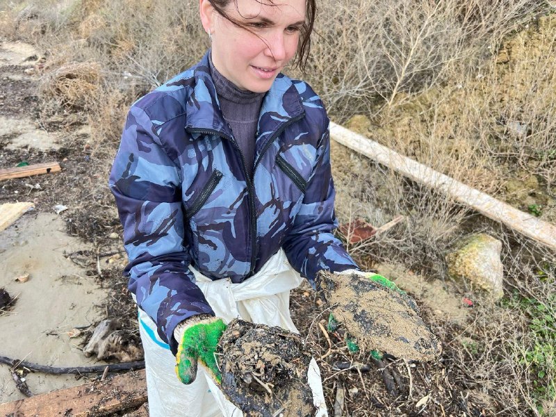 Иллюстрация 5