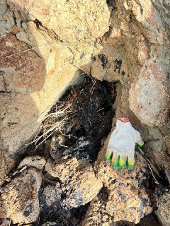 Иллюстрация 6