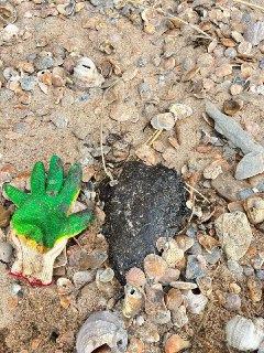 Иллюстрация 8