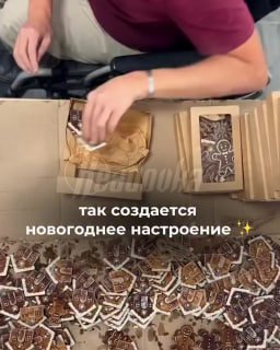 Иллюстрация 1