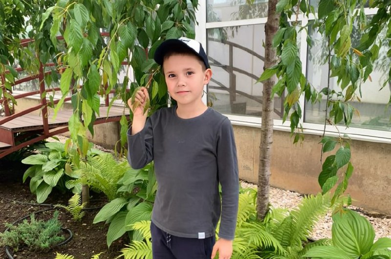 Иллюстрация 2