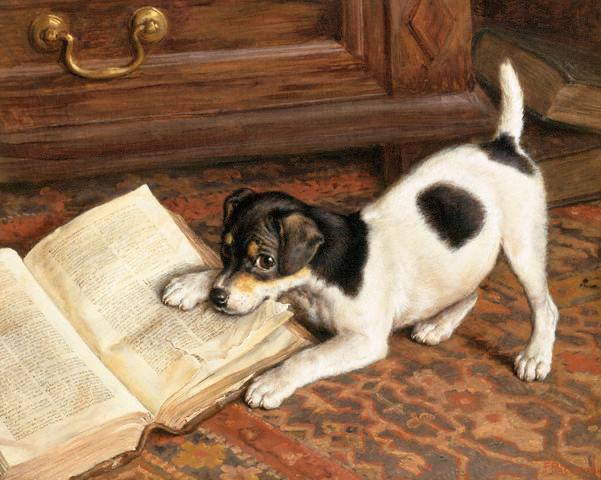 Ироничная библиотека: подборка юмористических авторов