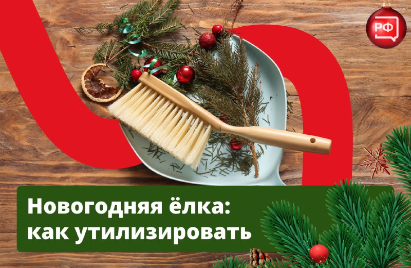 Как правильно утилизировать новогоднюю ёлку: советы от Объясняем.рф