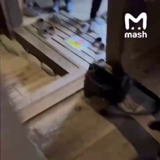 Американец вступил в словесную перепалку с россиянами в Японии