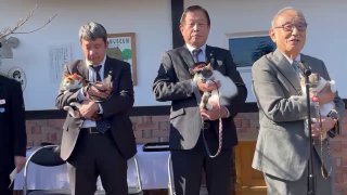 В Японии кот стал начальником железнодорожной станции