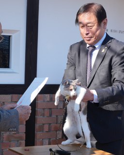 Иллюстрация 4