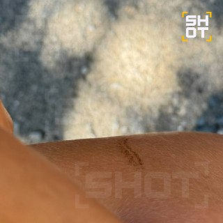 Иллюстрация 2