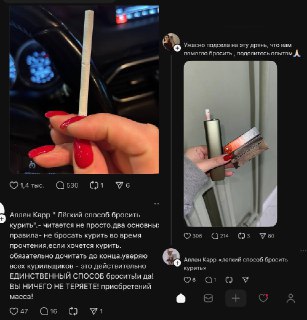 Иллюстрация 2