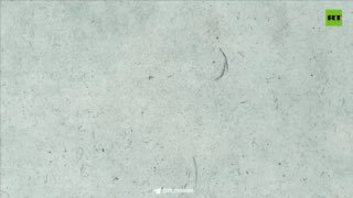 История Хосе де Сан-Мартина