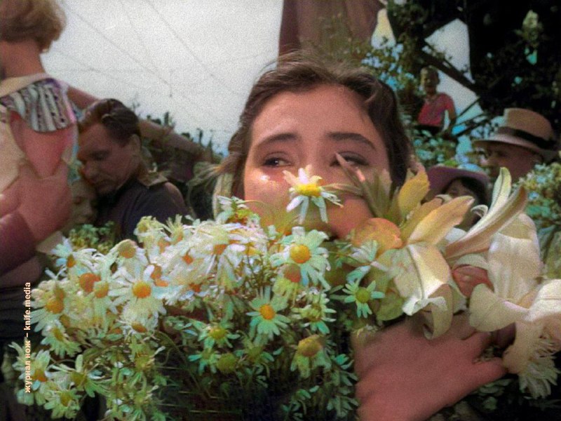 Иллюстрация 5